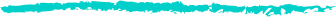 Vector Vector